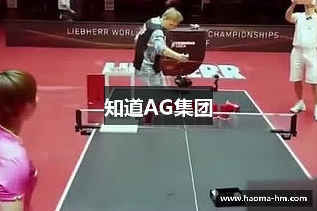 知道AG集团